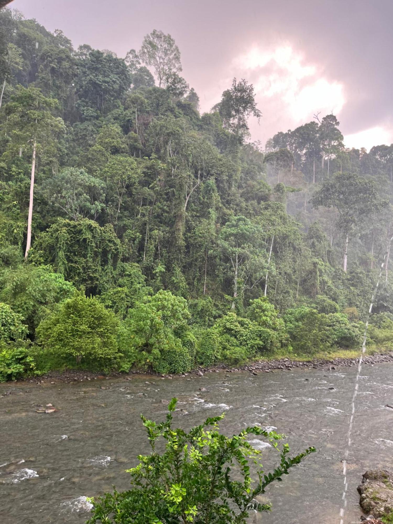 Ridho'S Homestay & Jungle Trekking Bukit Lawang Zewnętrze zdjęcie